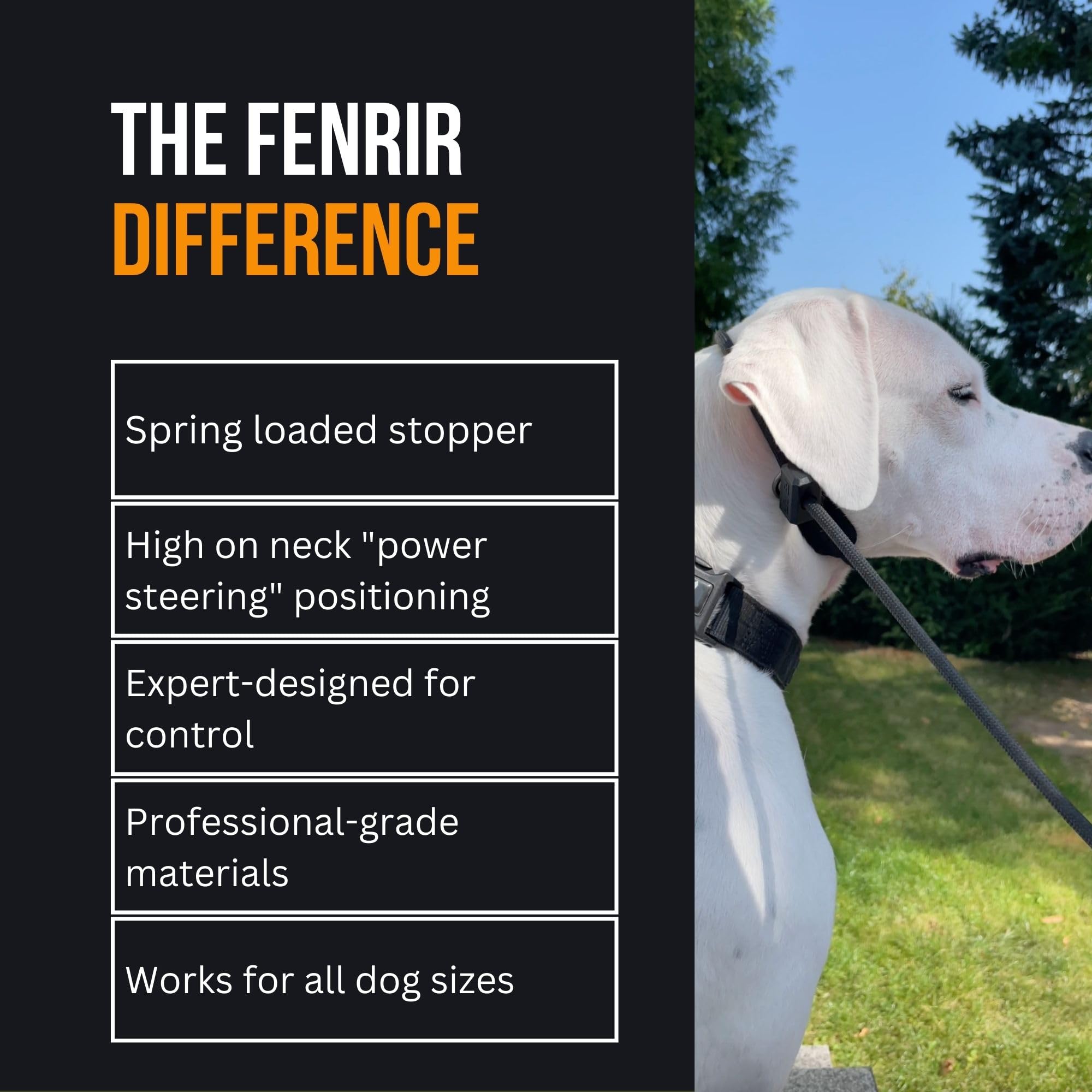 Fenrir Slip Leash in use during a walk demonstrating calm guidance