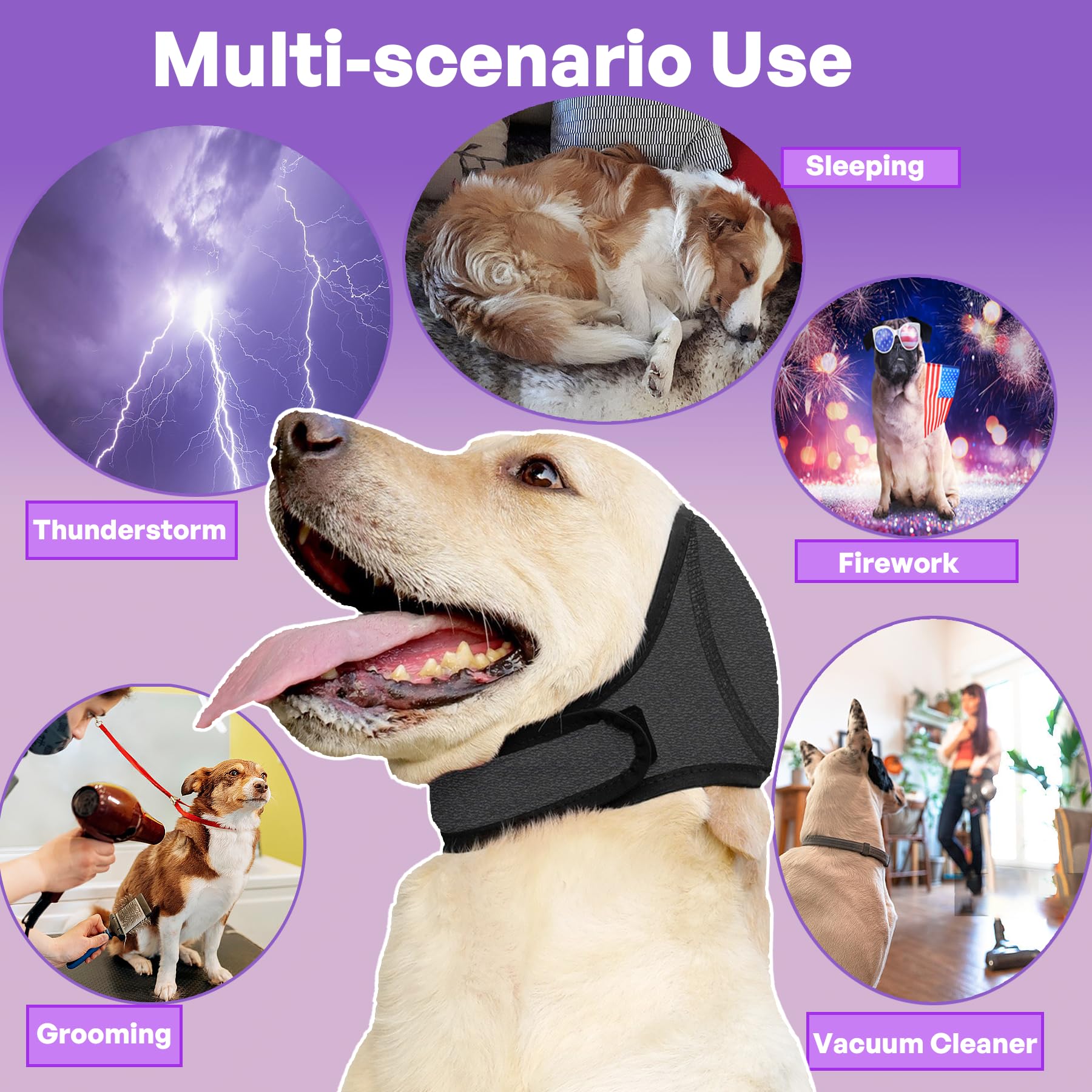 Fenyotech dog comfort ear wrap closeup highlights secure coverage