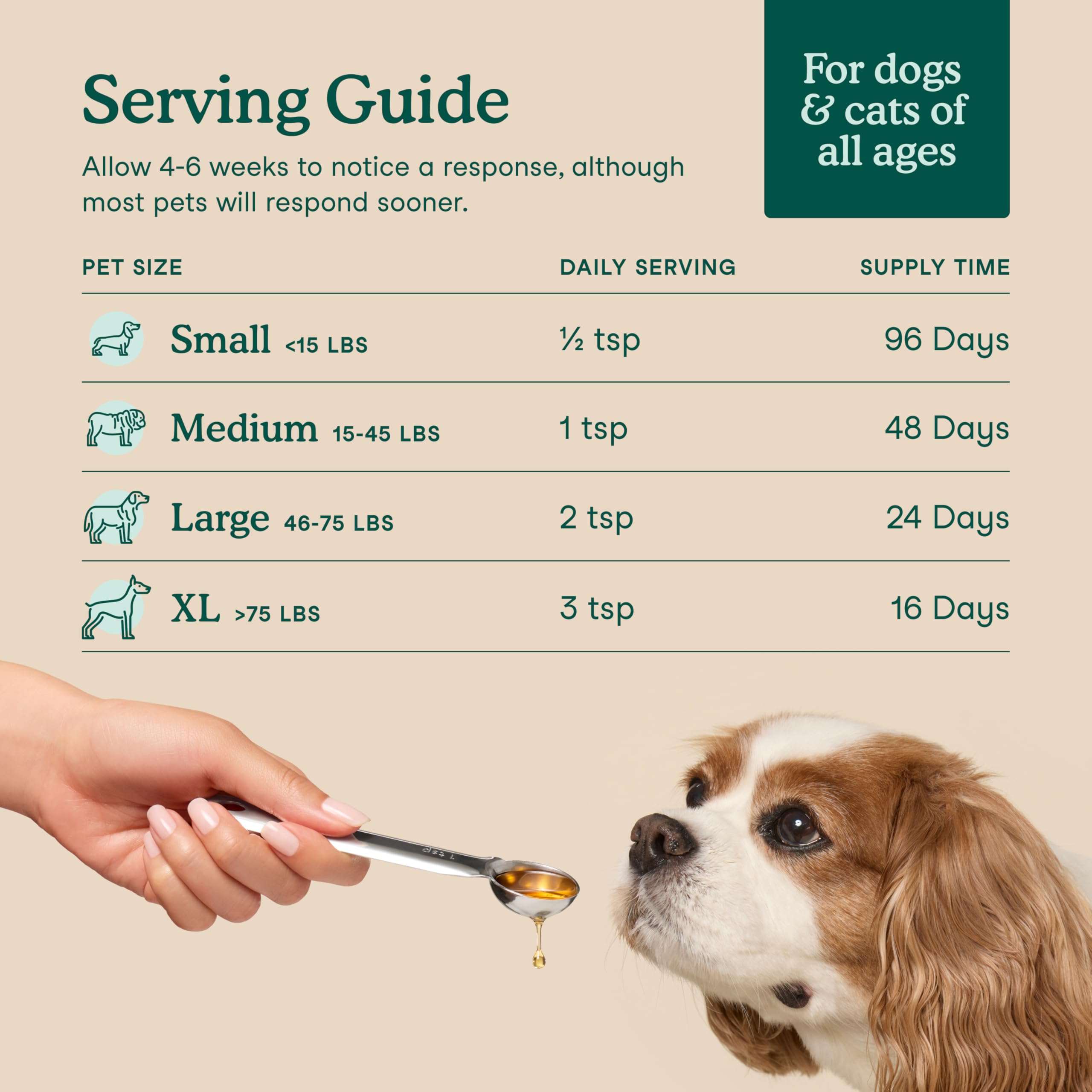 Fera Pets Algae Oil cat-meal-topper illustrates simple cat-food topper for meals.