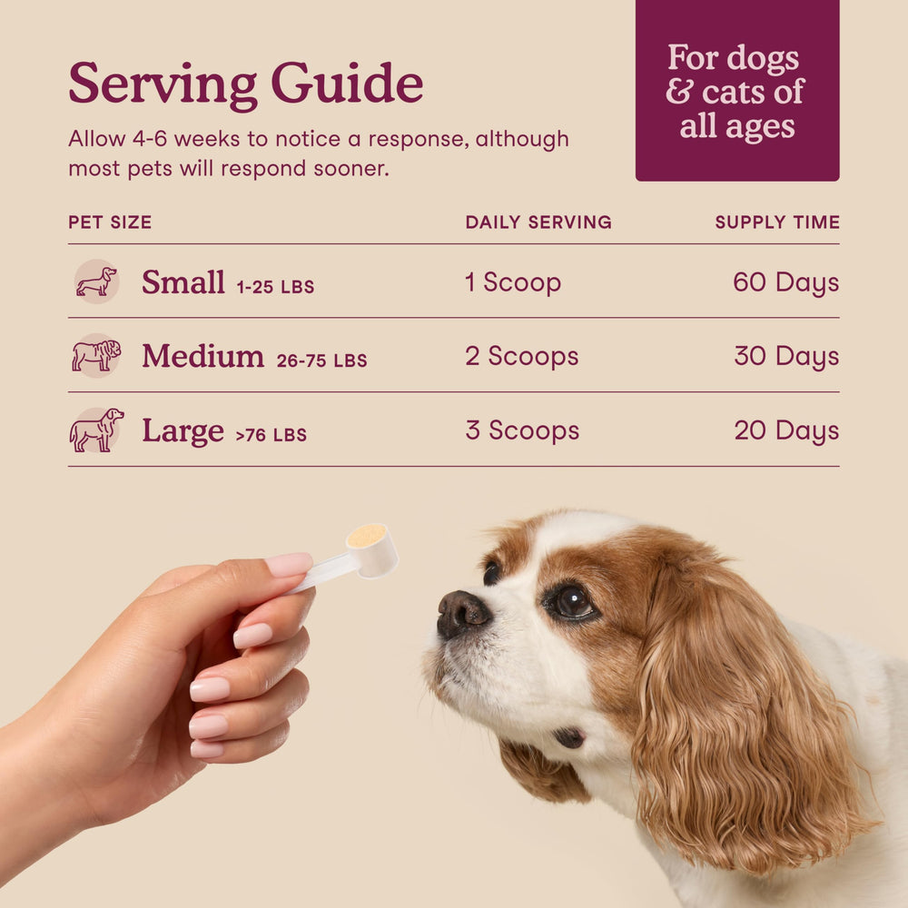 Fera Pets bladder-support-veterinarian-formulated-label underscores trusted veterinary input.