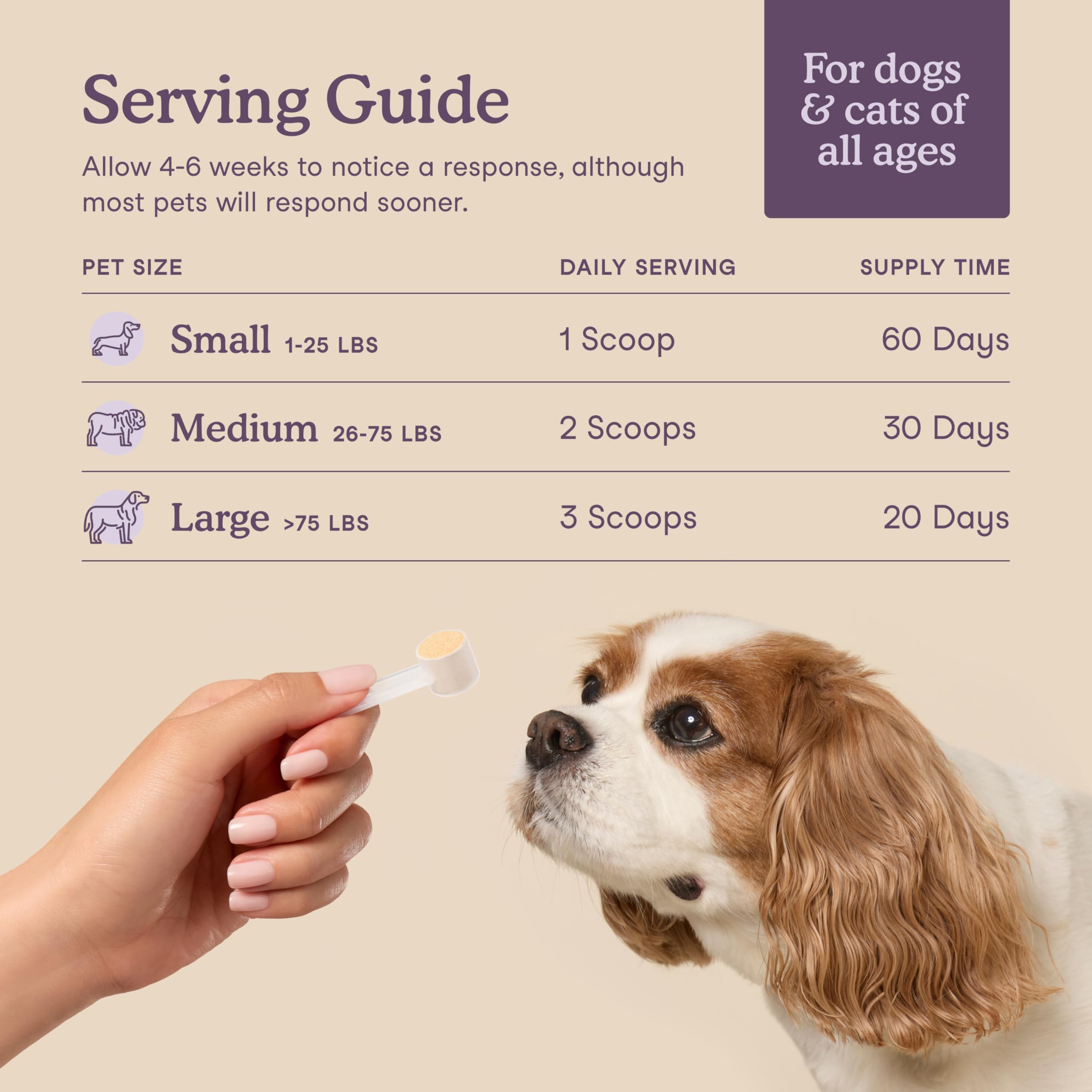 Fera Pets Calming L-theanine image suggests gentle mood support.