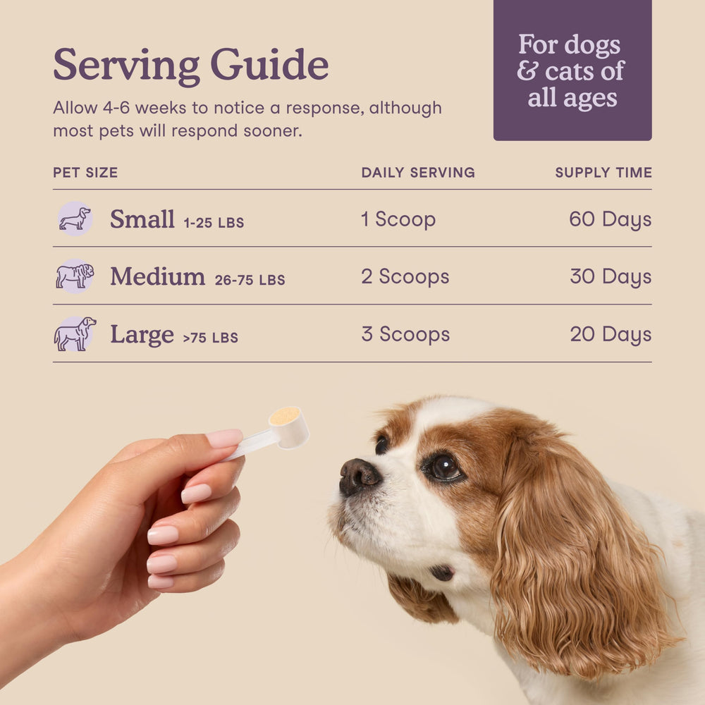 Fera Pets Calming L-theanine image suggests gentle mood support.