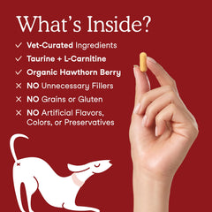 Fera Pets Cardiac Support CoQ10 ingredient close-up signals antioxidant support for cells