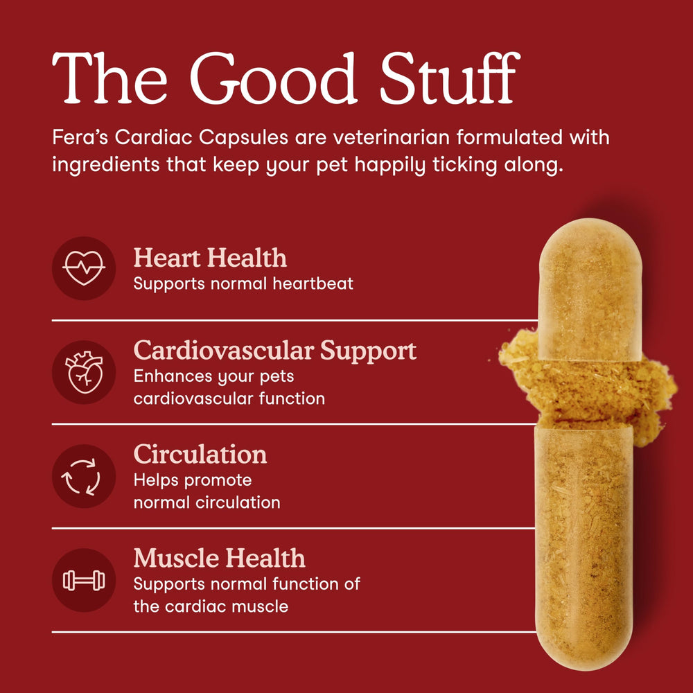 Fera Pets Cardiac Support L-Carnitine ingredient image hints at energy support for walks