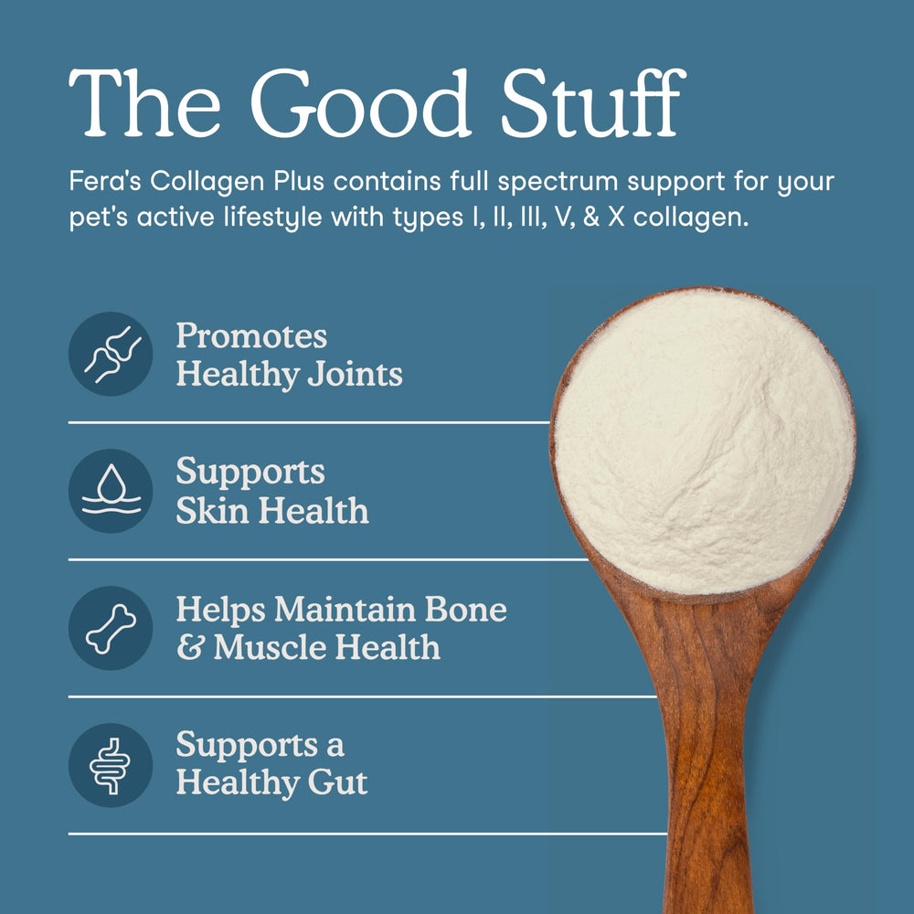 Fera Pets Collagen Powder on-kibble toppers image indicating convenient meal addition