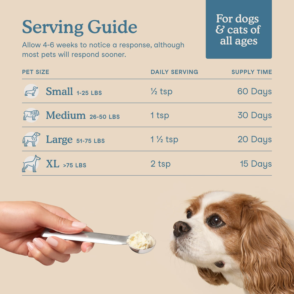 Fera Pets Collagen Powder ingredient types including bovine and marine collagens
