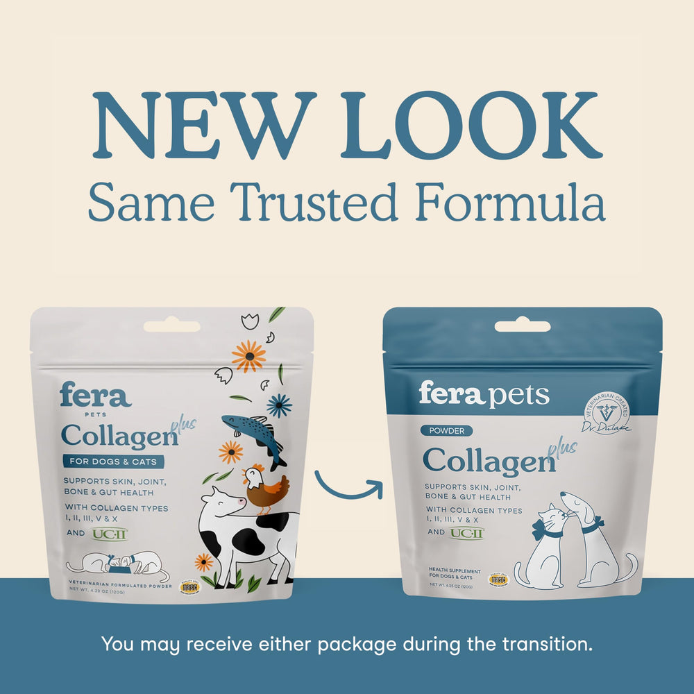 Fera Pets Collagen Powder measuring scoop showing easy dosing for cats and dogs