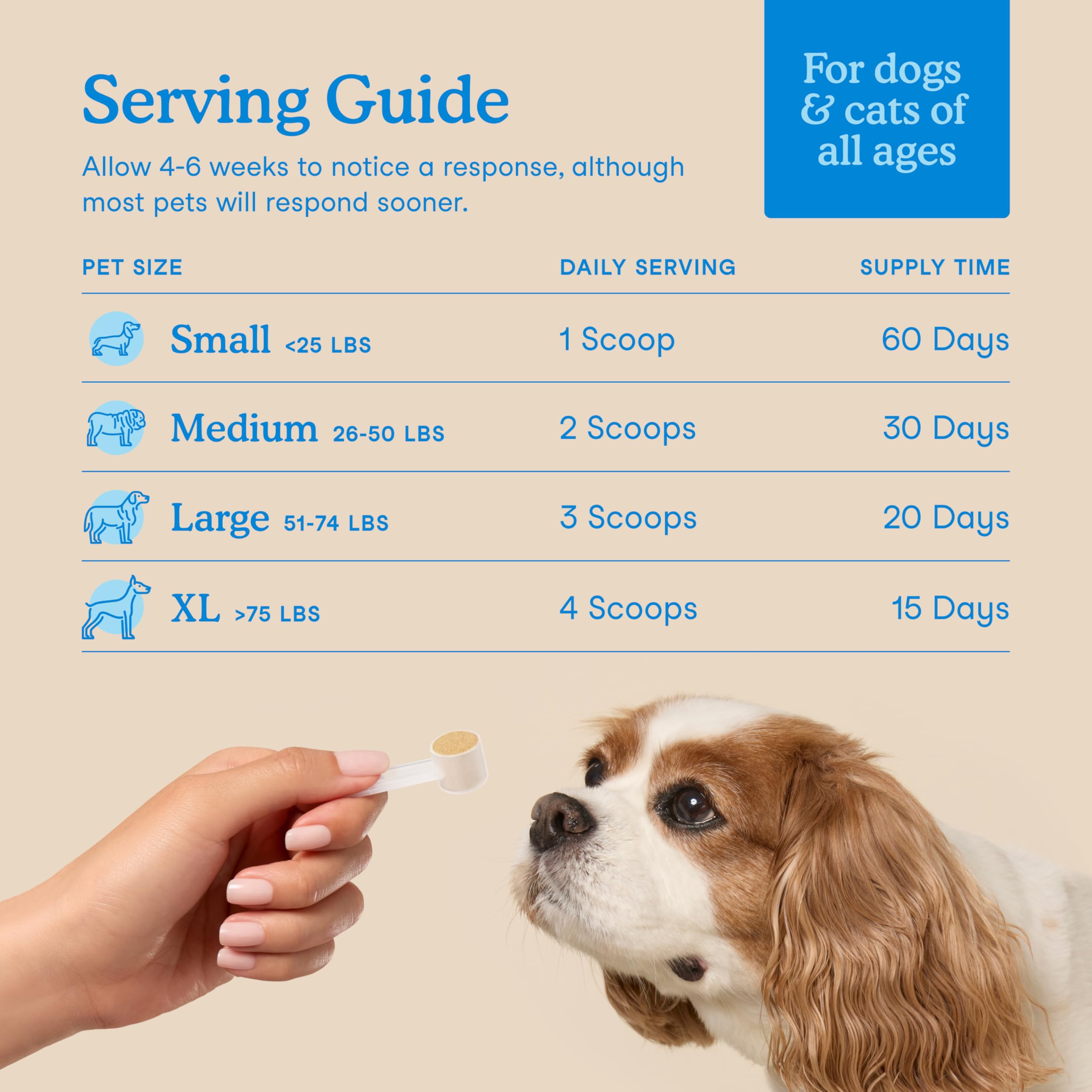 Fera Pets dental powder enzymes-postbiotics shot underscores supporting oral microbiome.