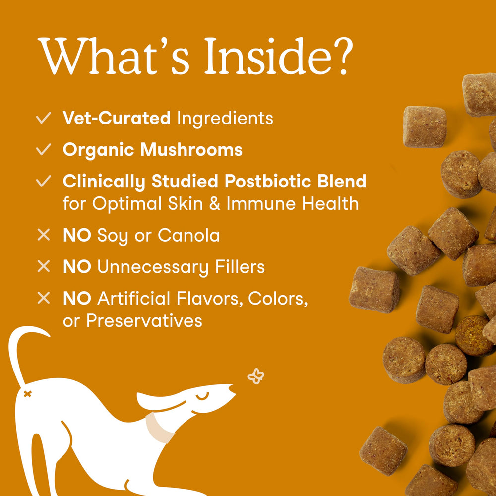 Fera Pets Dog Allergy Chews soft chews closeup demonstrates easy-to-feed texture