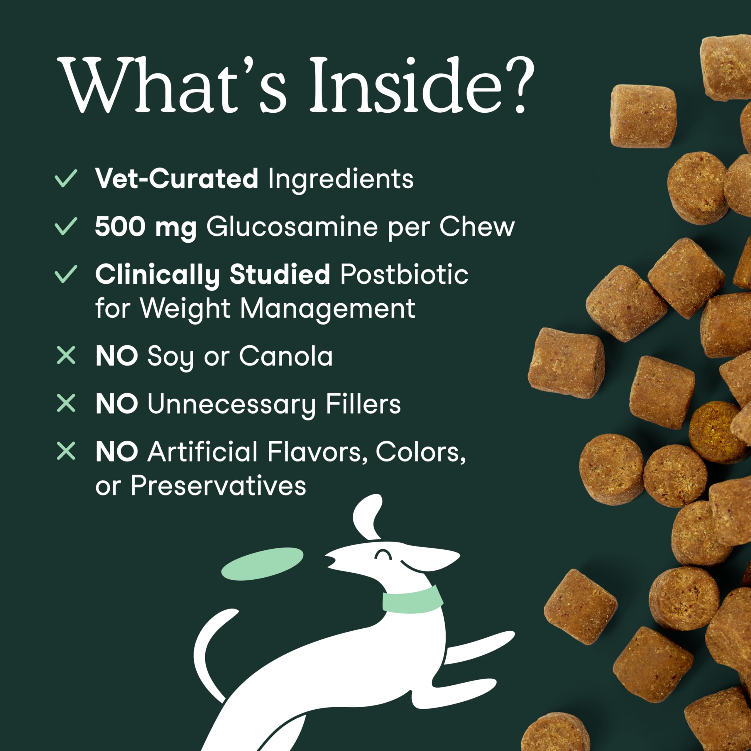 Fera Pets hip and joint supplement aids active dogs during play.