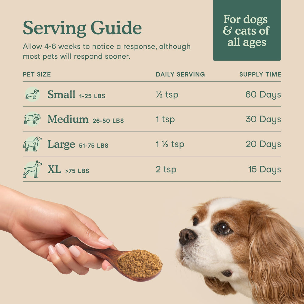 Fera Pets fruits and greens supply antioxidants and fiber for balanced vitality.