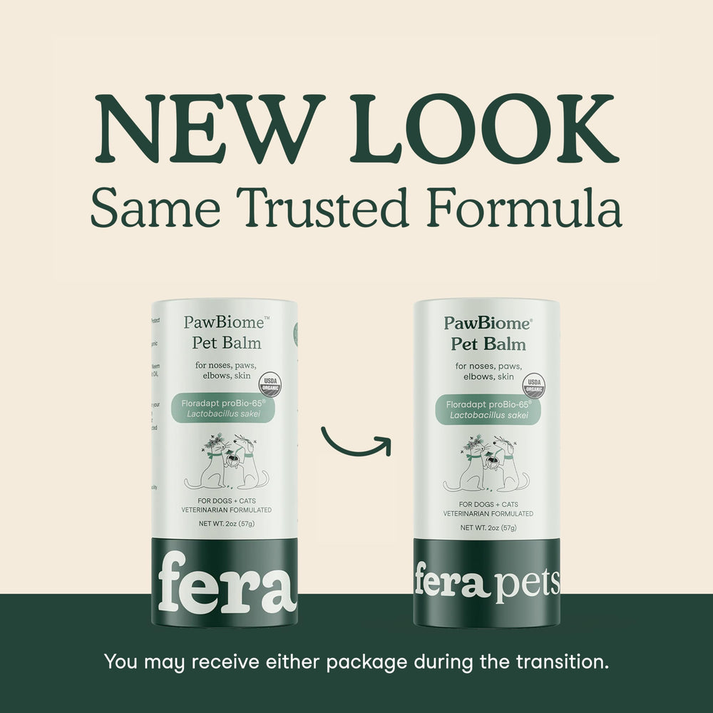 Fera Pets PawBiome Balm paw pad application for dry paw pads