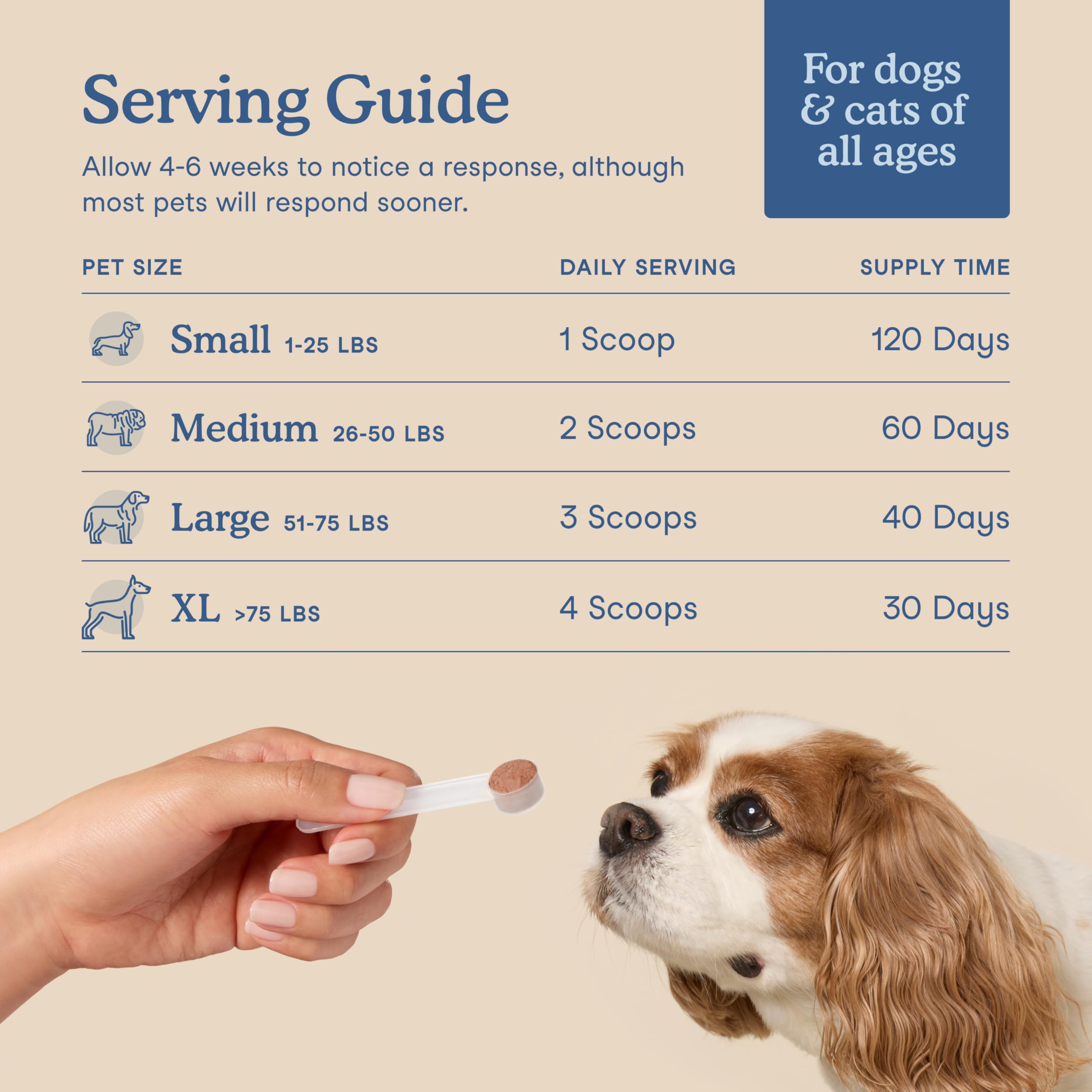 Fera Pets Postbiotics Plus Prebiotics USA-made bottle shows NASC-certified formulation.