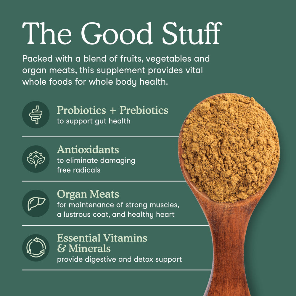 Fera Pets probiotics bacillus coagulans for gut support with daily nutrition.