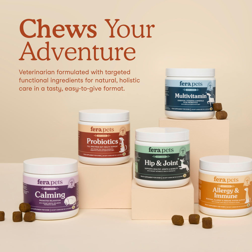 Fera Pets Probiotics digestive balance showcases balanced gut microbiome in action.