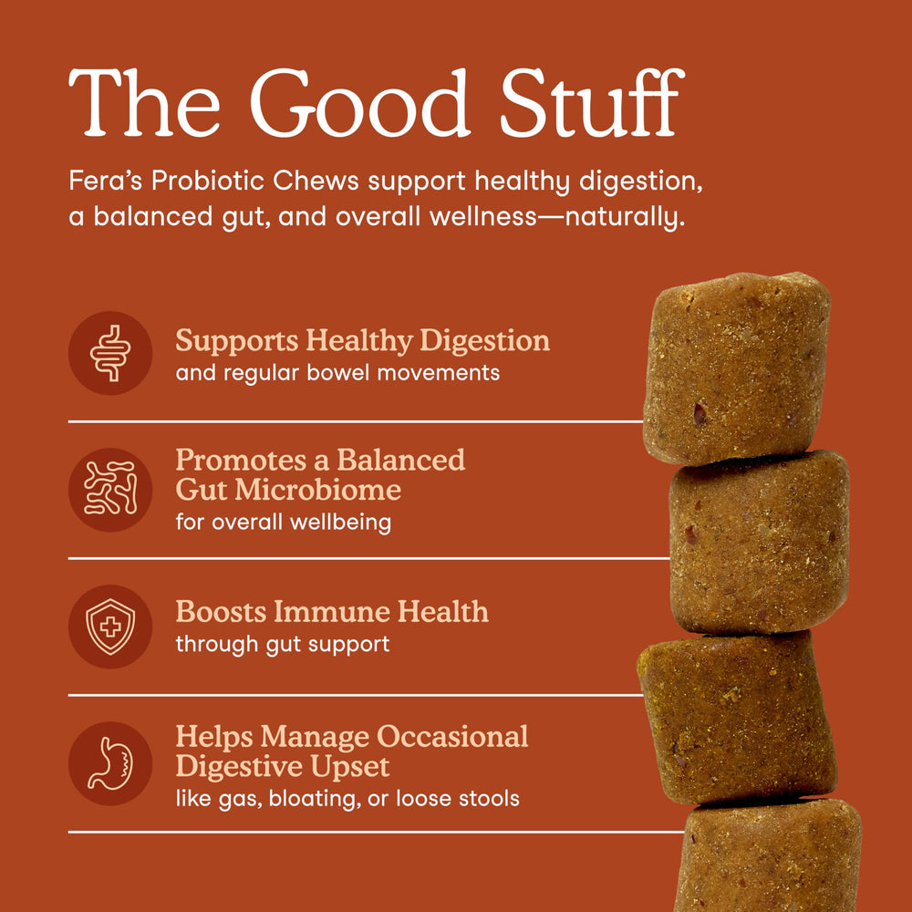 Fera Pets Probiotics dog chews closeup emphasizes texture and palatability for easier feed-through.