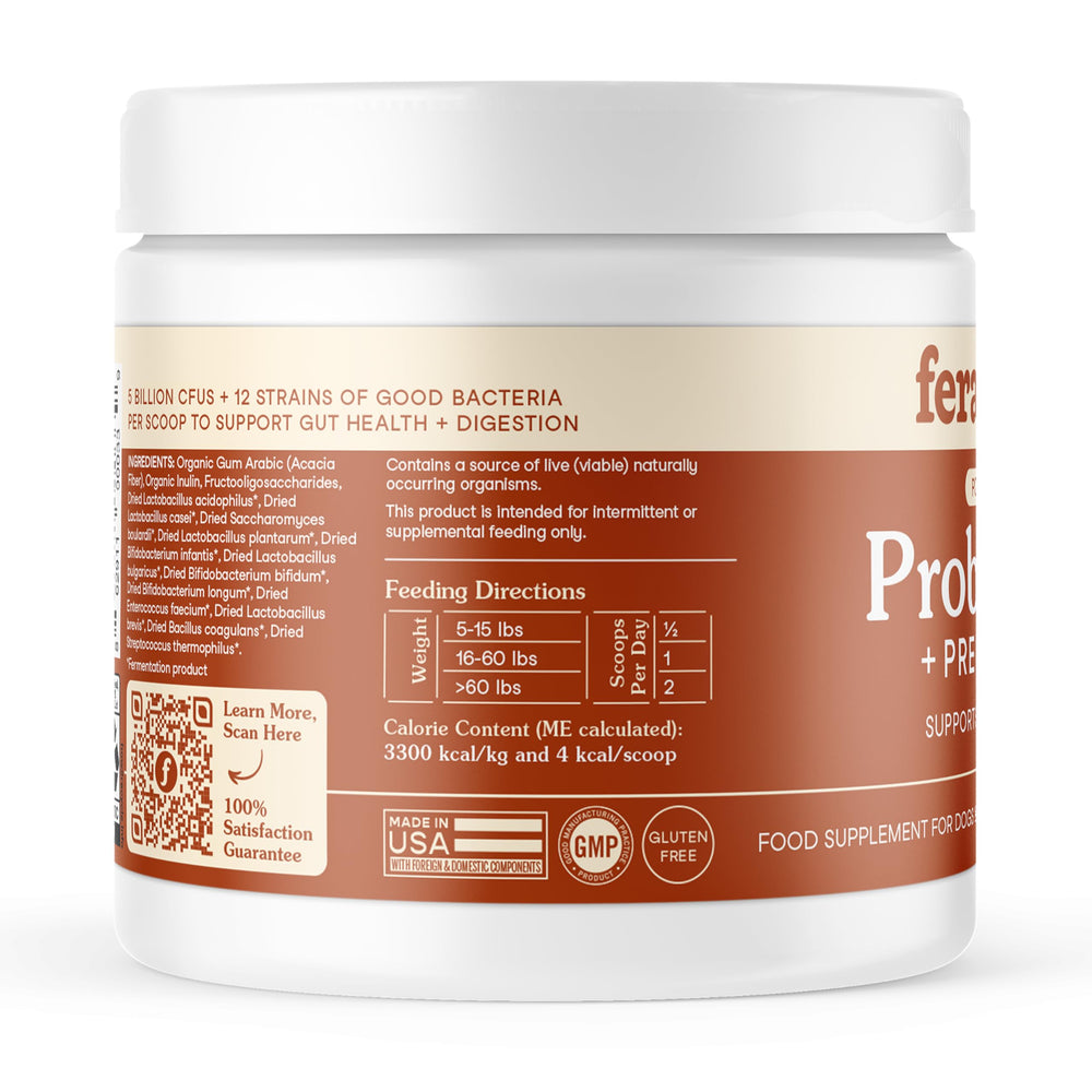 Fera Pets Probiotics skin-coat benefit visual hints at healthier fur and skin.