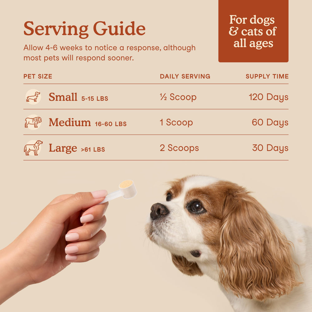 Fera Pets Probiotics USA-made formulation underscores veterinarian-founded quality and NASC seal.