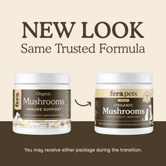 Fera Pets organic mushroom powder close-up highlights high beta-glucan potency for pets.