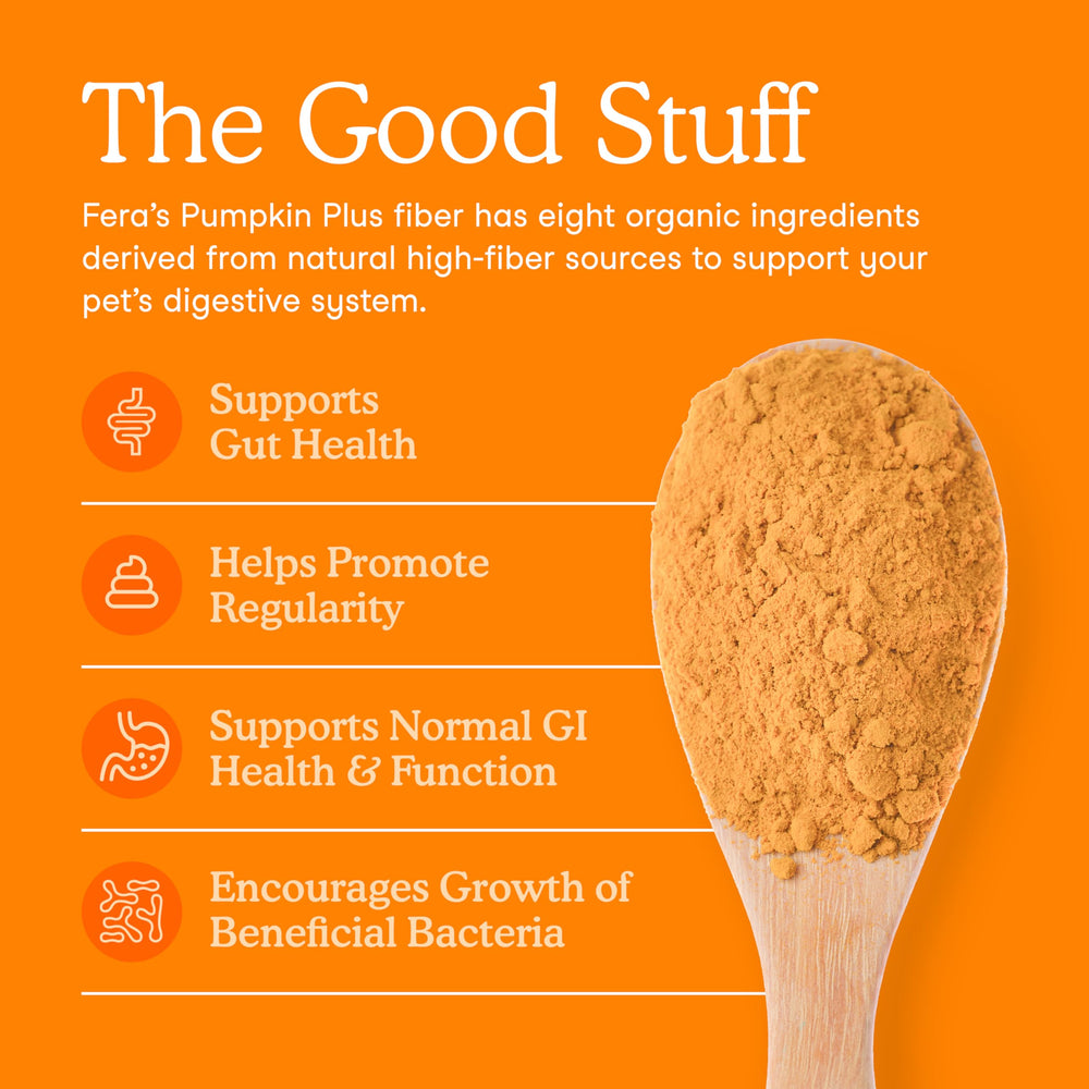 Fera Pets Pumpkin Plus flax, coconut, and pumpkin closeup supports gut health.