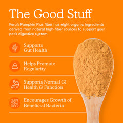 Fera Pets Pumpkin Plus flax, coconut, and pumpkin closeup supports gut health.