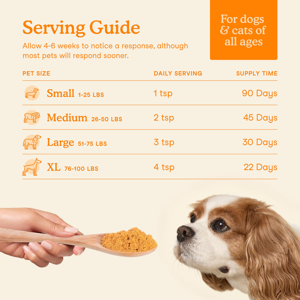 Fera Pets Pumpkin Plus USA-made GMP seal emphasizes quality and safety.