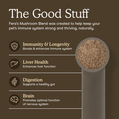 Fera Pets Turkey Tail mushroom powder scoop demonstrates easy dosing for dogs and cats.