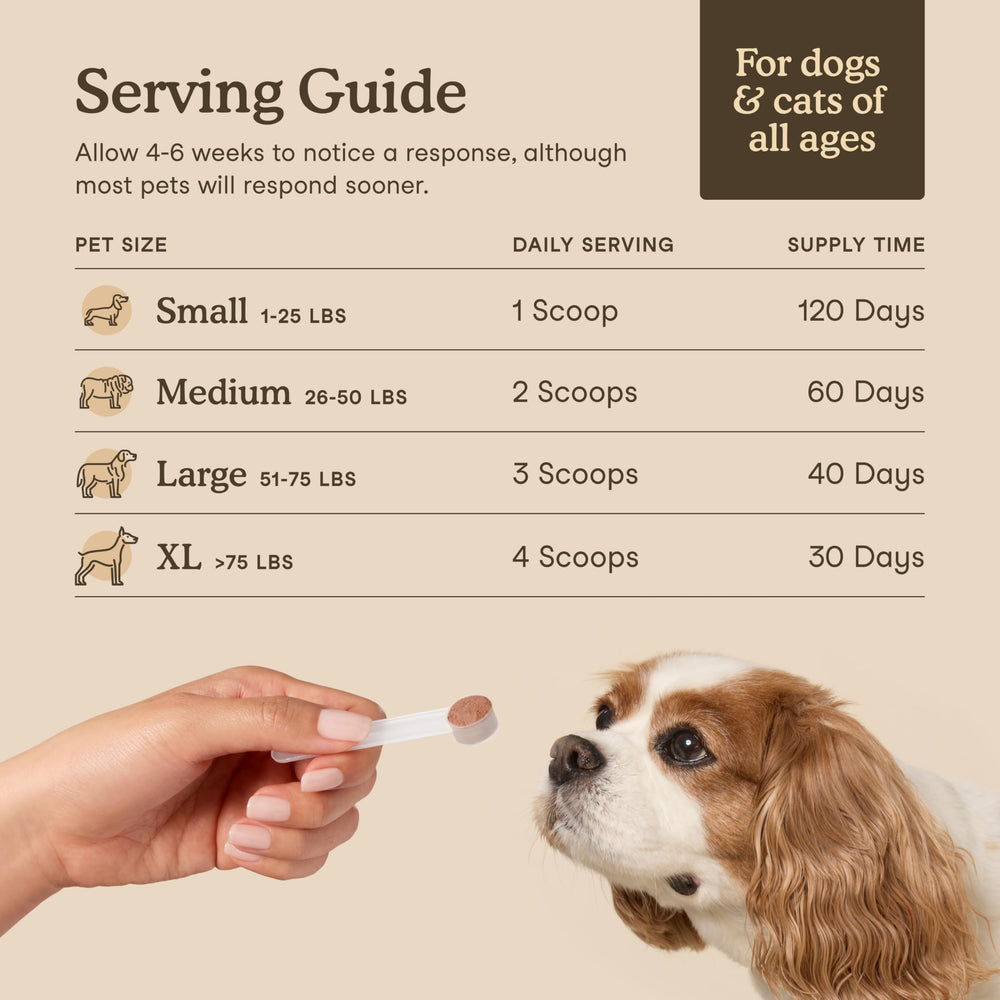 Fera Pets USA-made GMP seal image signals trusted production standards.