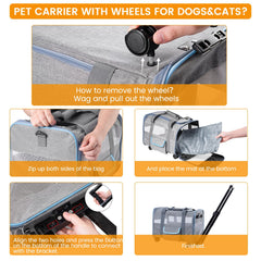 Ferrafay pet carrier top entry demonstrates quick access for pets entering before car trips.