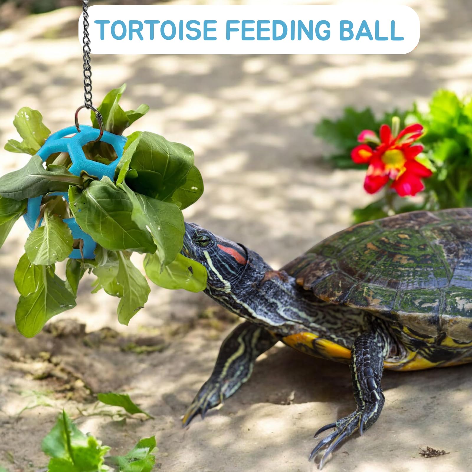 Fertrey adjustable hanging height demonstrates versatile turtle enclosure compatibility.