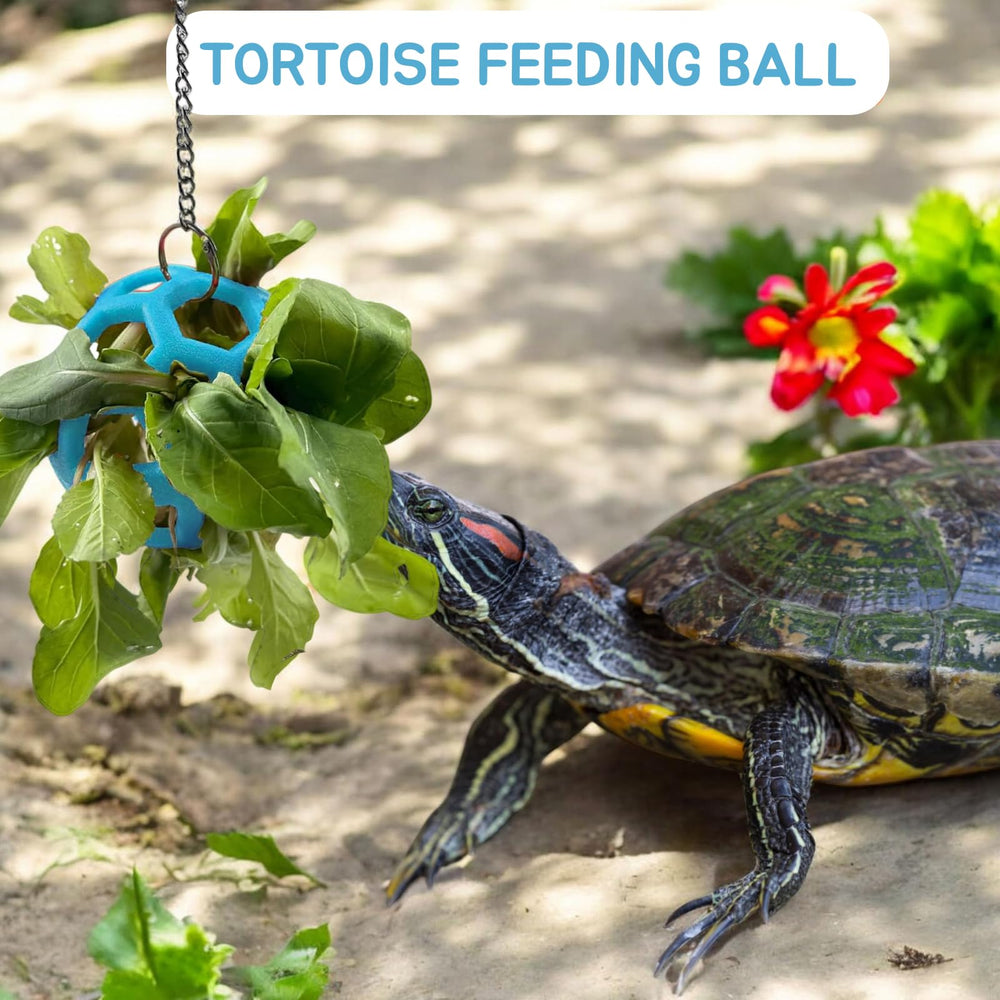Fertrey adjustable hanging height demonstrates versatile turtle enclosure compatibility.