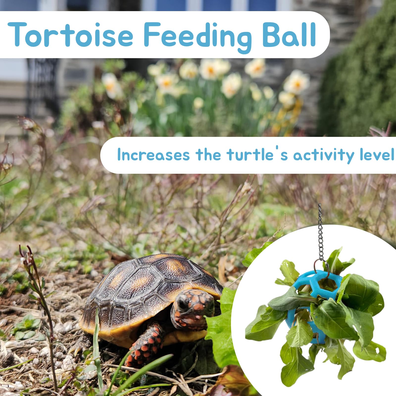 Fertrey two hollow balls pack shows 2.75-inch diameter for balanced feeding.