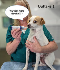 Fetch A Vet activated charcoal gel 60ml gel texture supports easy oral dosing for pets.
