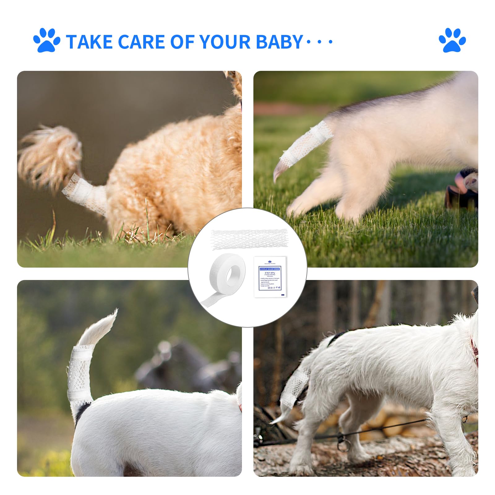 FEXICHUJI dog tail bandage application demonstrates secure dressing.