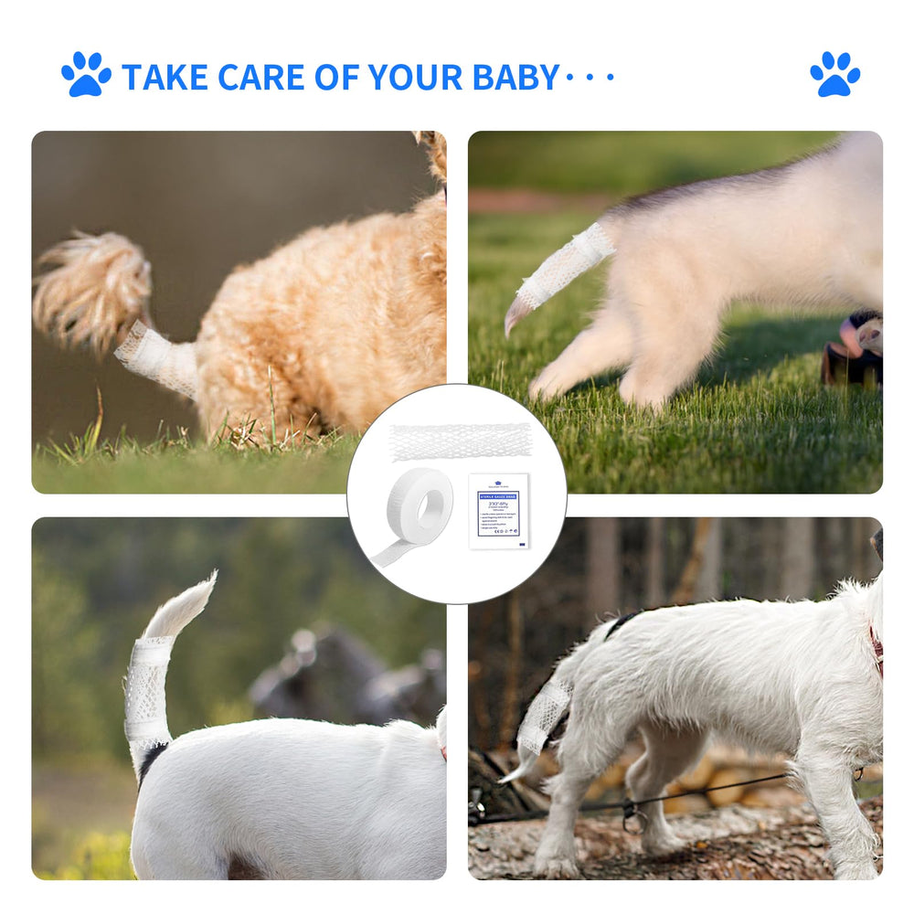 FEXICHUJI dog tail bandage application demonstrates secure dressing.