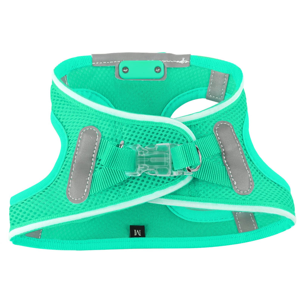 Feycig light up dog harness adjustable-strap allows a customizable fit for growing dogs.