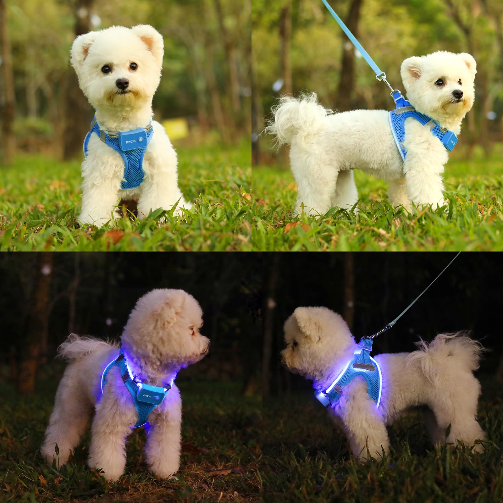 Feycig light-up dog harness showing flashing modes for nighttime runs