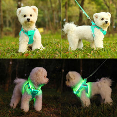 Feycig light up dog harness recharge-port shows USB charging for quick outdoor readiness.