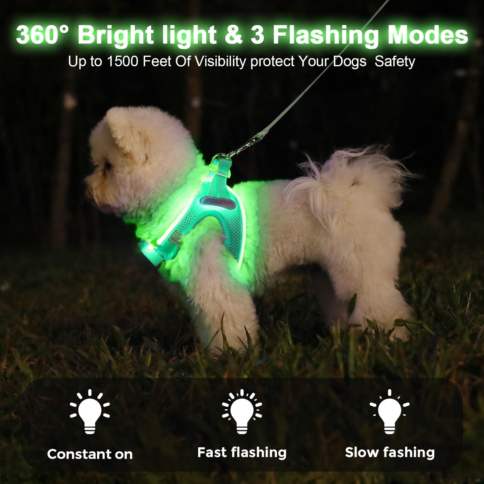 Feycig light up dog harness side wear demonstrates comfortable fit with reflective safety for evening strolls.