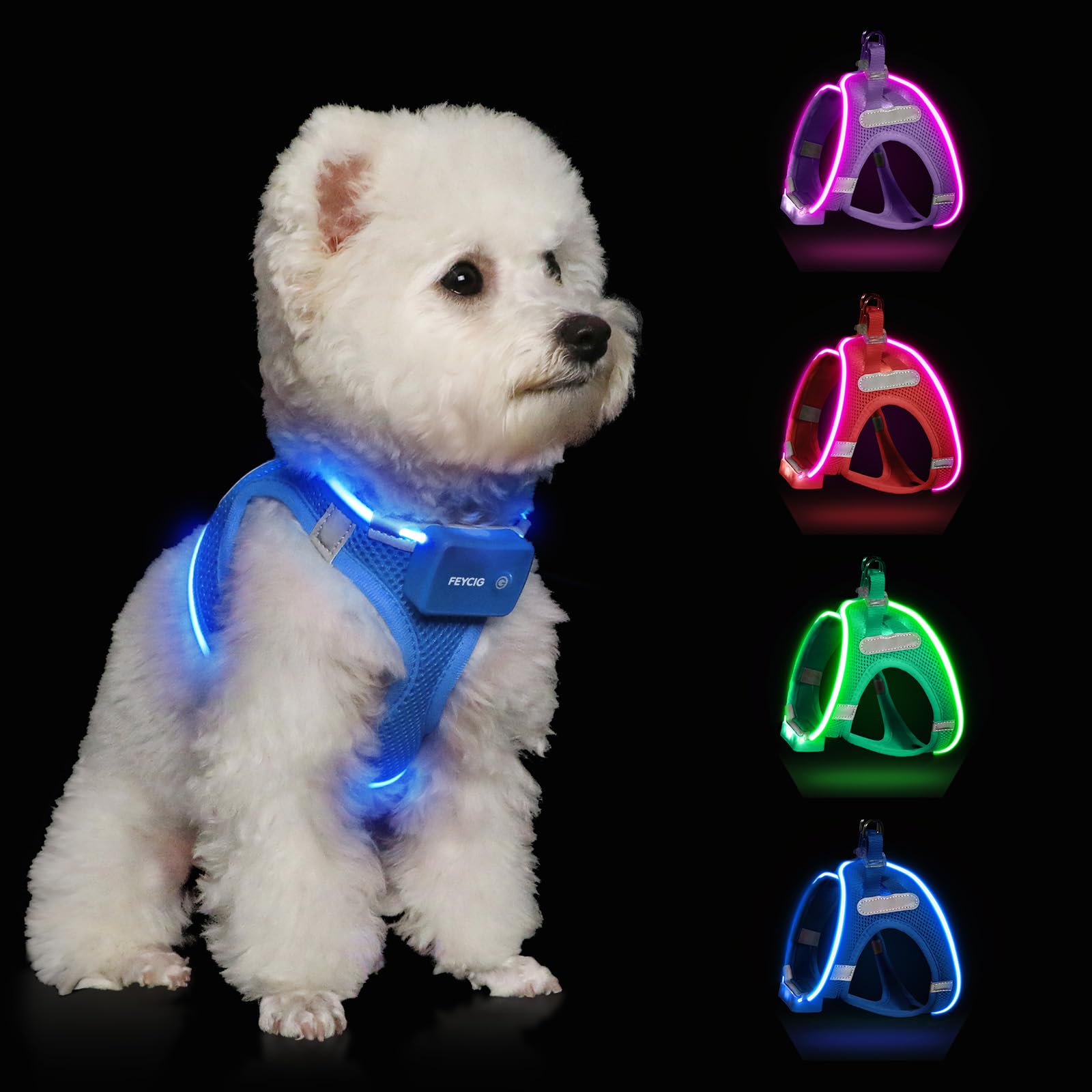 Feycig light-up dog harness sky blue on small dog for safe night visibility