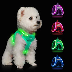 Feycig light up dog harness top view showcases 360° visibility for safer night walks.