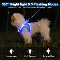 Feycig light-up dog harness USB charging for quick top ups during walks