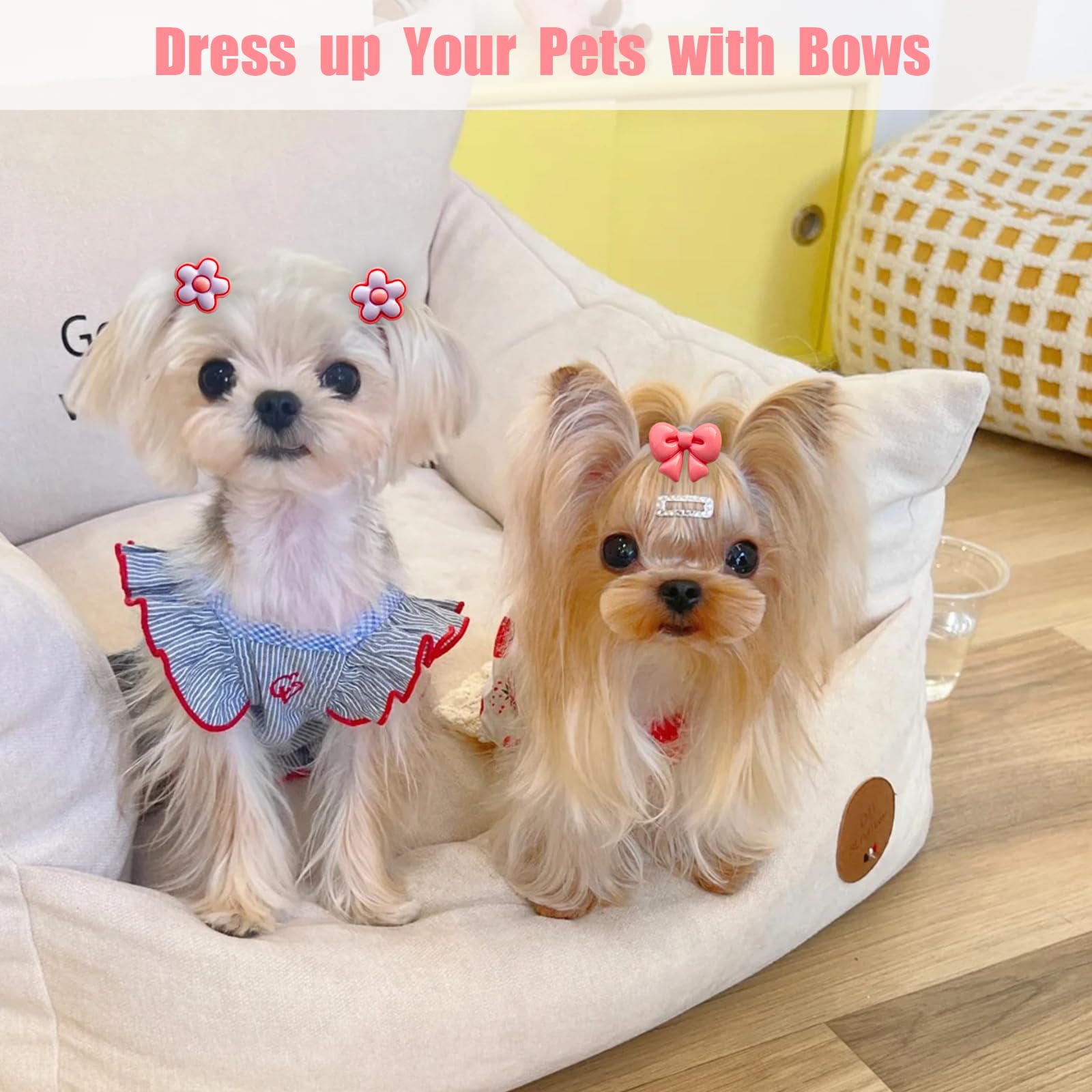 FGISAR breed-ready accessory ideal for Yorkies, Poodles, Shih Tzu, Maltese.
