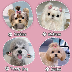 FGISAR candy-design dog bow creates festive look for celebrations.