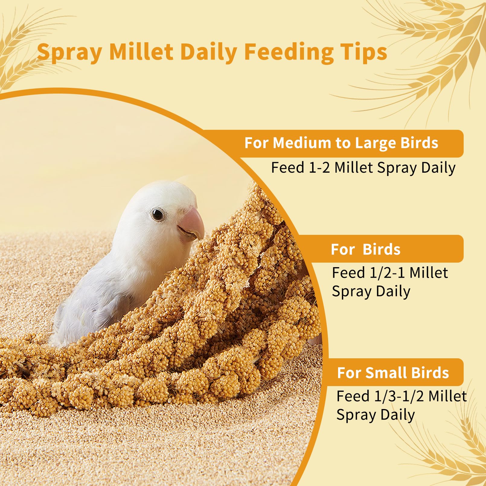Fhiny airtight storage jar keeps millet fresh for daily use.