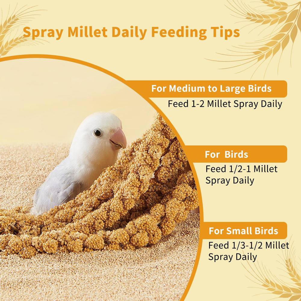 Fhiny airtight storage jar keeps millet fresh for daily use.