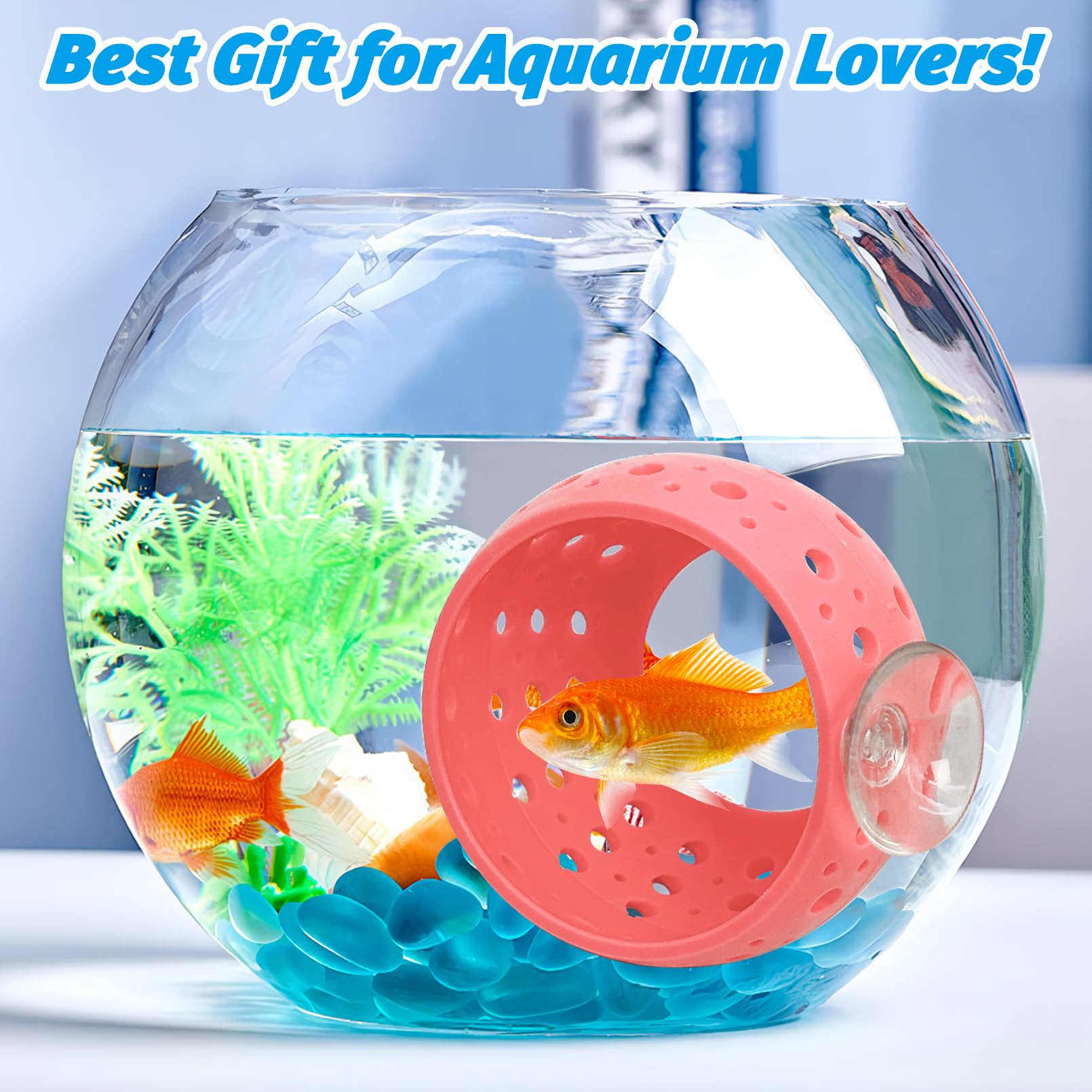 Fhiny Betta Tunnel easy to clean with gentle brushing