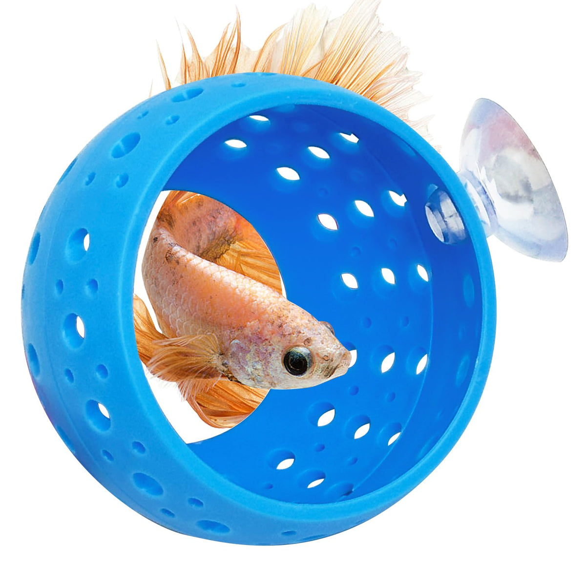 Fhiny Betta Tunnel with strong suction cup attached to glass for secure placement