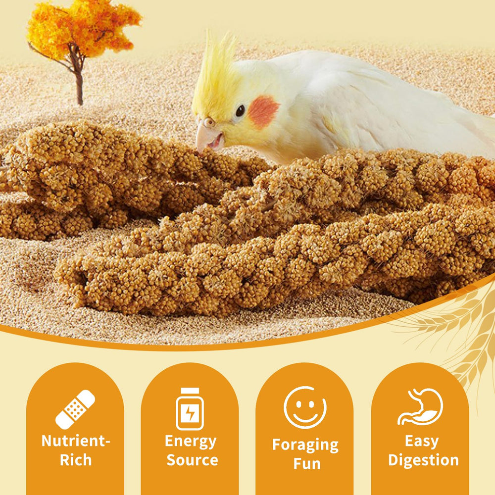 Fhiny birds training with millet spray as a reward.
