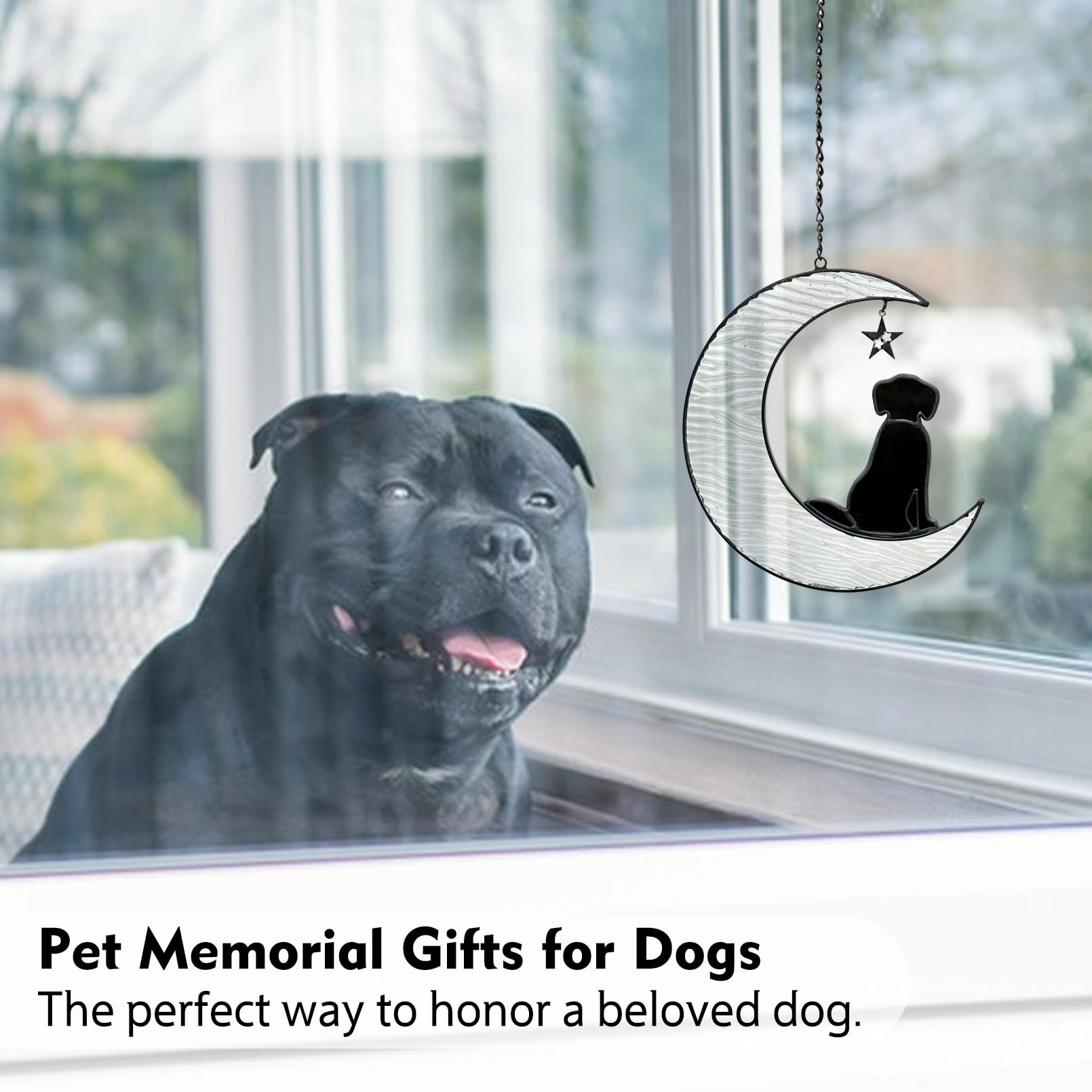 Fhiny dog memorial suncatcher gift idea for dog lovers brightening homes with remembrance.